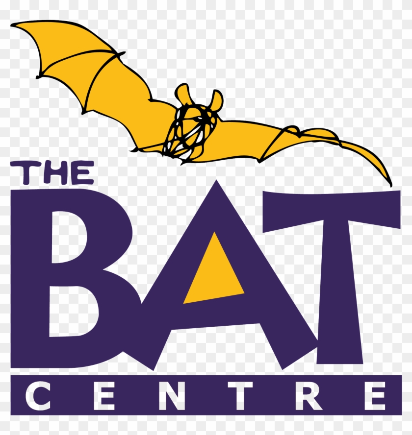 Bat Centre Durban #1325690