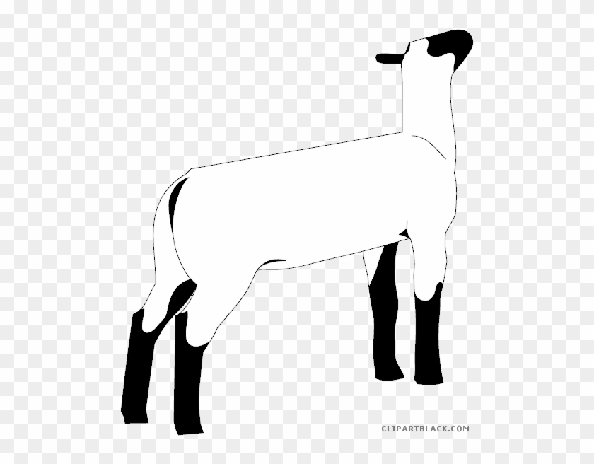 Lamb Animal Free Black White Clipart Images Clipartblack - Club Lamb Clip Art #1325755