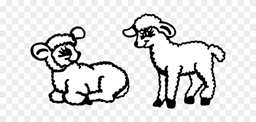 Two, Sitting, Standing, Lambs, Fluffy, Animal - Lambs Clipart #1325760