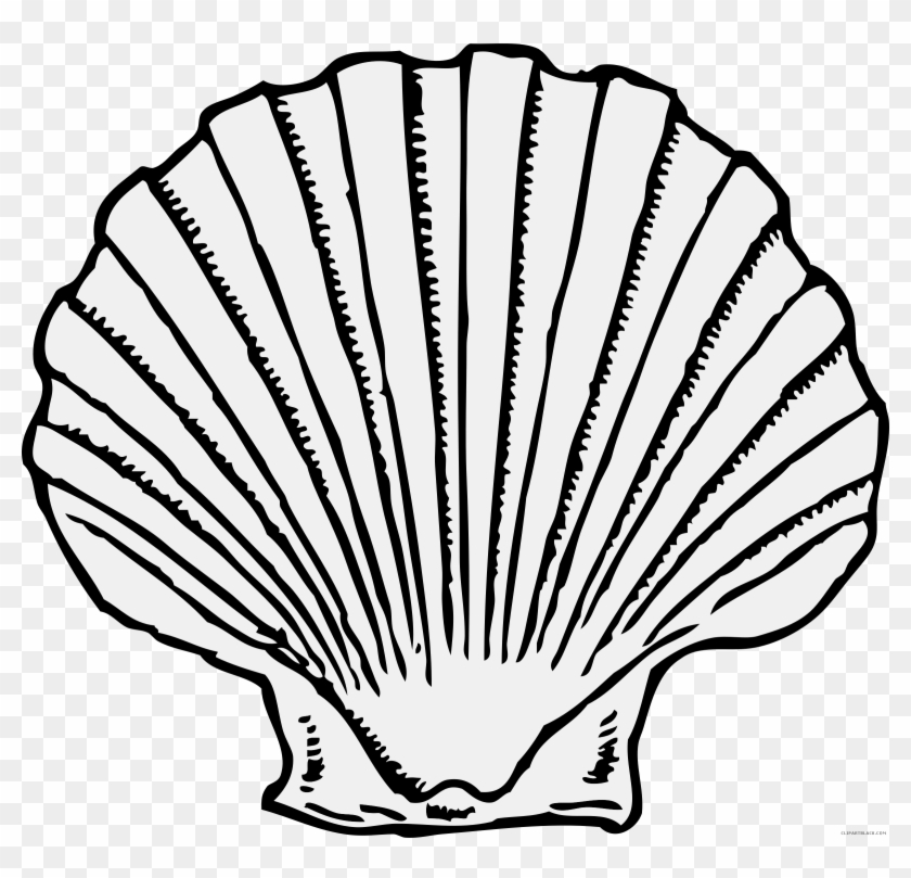 Scallop Shell Animal Free Black White Clipart Images - Sea Shell Clip Art #1325761