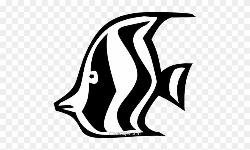 Angelfish Clipart Black And White - Angel Fish Vector #1325765