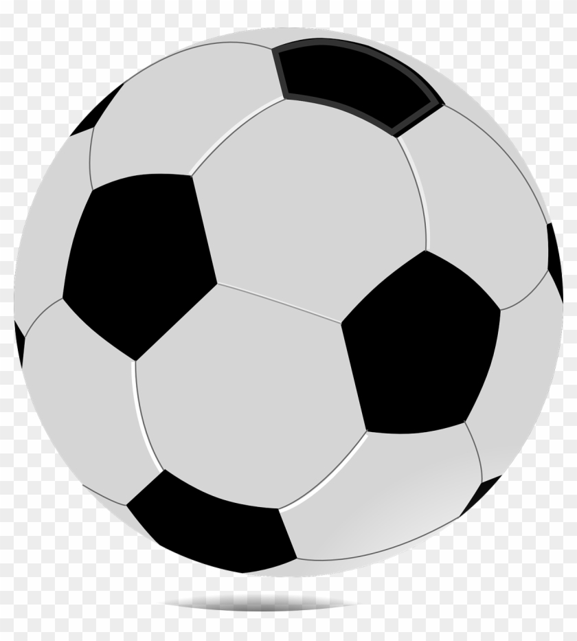 Wildcat And Ladycat Soccer Camp - Bola De Futebol Transparente - Free ...