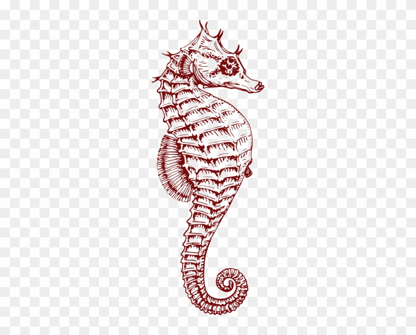 Coral Seahorse Opaque Clip Art At Clker - Clip Art Teal Seahorse #1325859