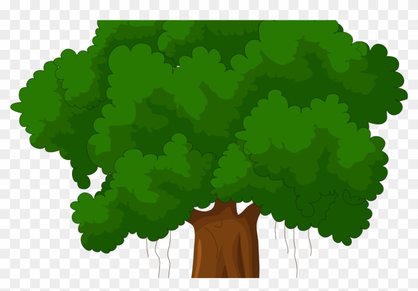 Cartoon Transparent Tree Top #1325910