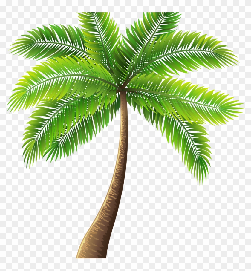 Palm Tree Painting Elegant Palm Tree Art Tropical Palm - Palm Tree Clipart Png #1325983