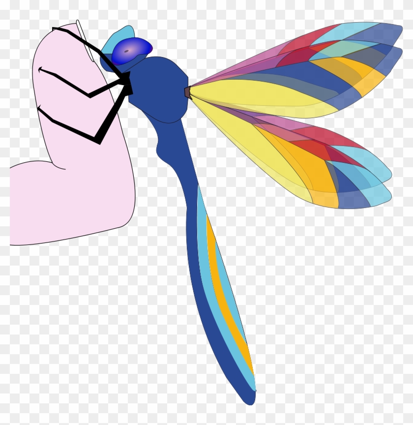 Similar Clip Art - Custom Colorful Dragonfly Mugs #1326054