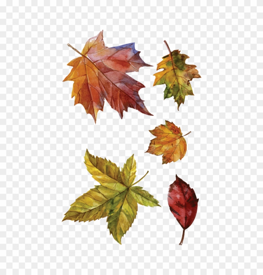 Autumn Leaves - Music Lyric Journal: 7x10 Lined/ruled Paper Journal #1326299