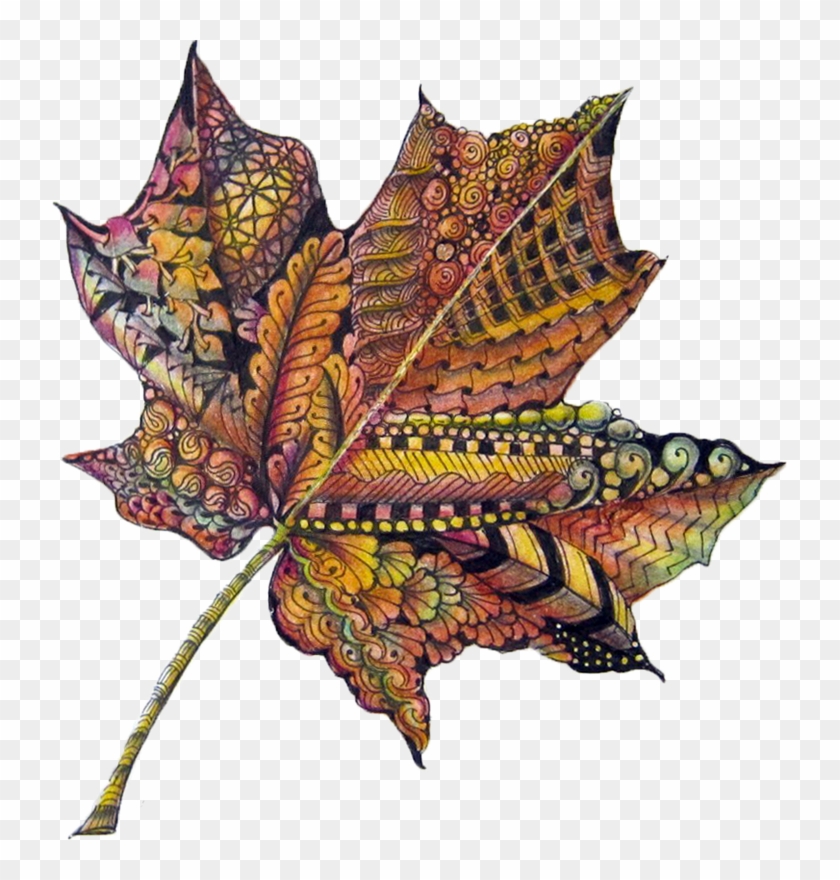Have Been Looking For A Maple Leaf That Isn't Cheesy - Maple Leaf Doodle Art #1326302