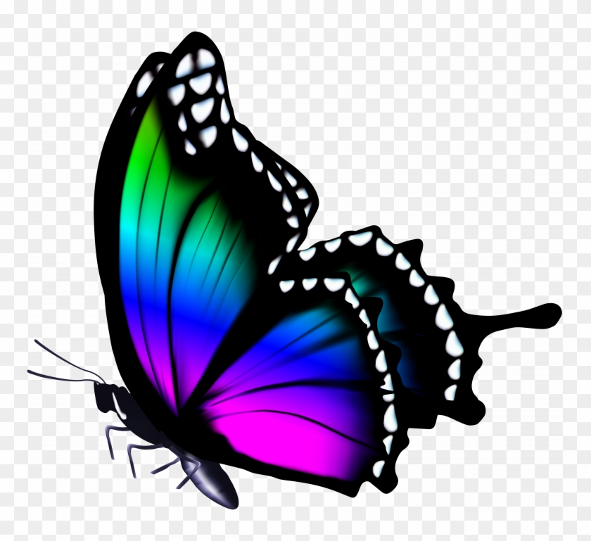 Colorful Butterfly Images Fresh Png Clip Art Image - Butterfly Clip Art #1326952