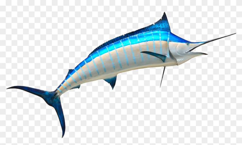 Swordfish Png #1327001
