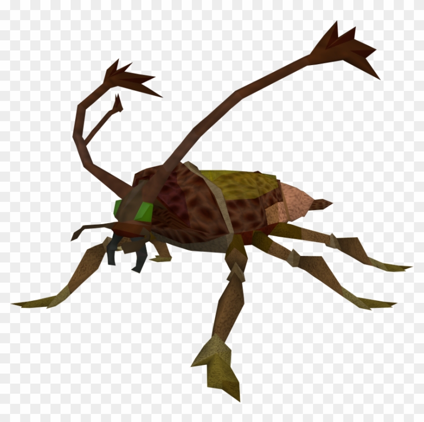 The Runescape Wiki - Cockroach Runescape #1327065