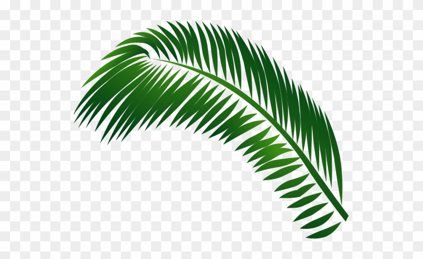 Jamaica Clipart Palm Tree - Leaf #1327141