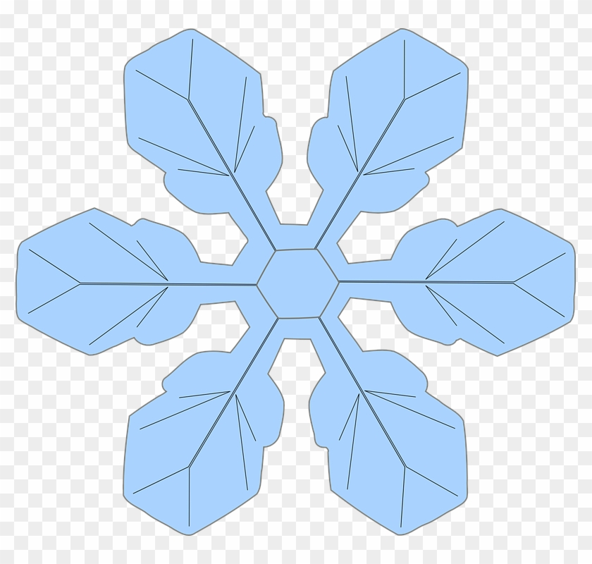 Transparent Snowflakes Cliparts 5, Buy Clip Art - Three Killed As Gunman Attacks Walmart Store #1327451