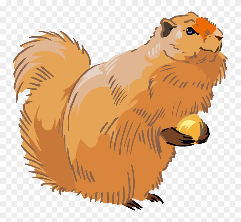 Squirrel Nest Clipart - Squirrel #1327573