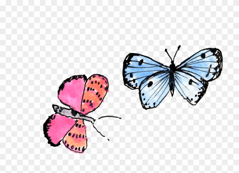 Butterflies - Anthocharis Cardamines #1327621