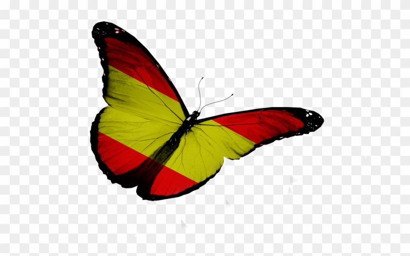 Flag Of Spain Royalty-free - Mariposas Con La Bandera De España #1327626