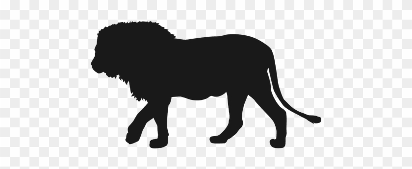 Lion Silhouette - Silhouette #1327637