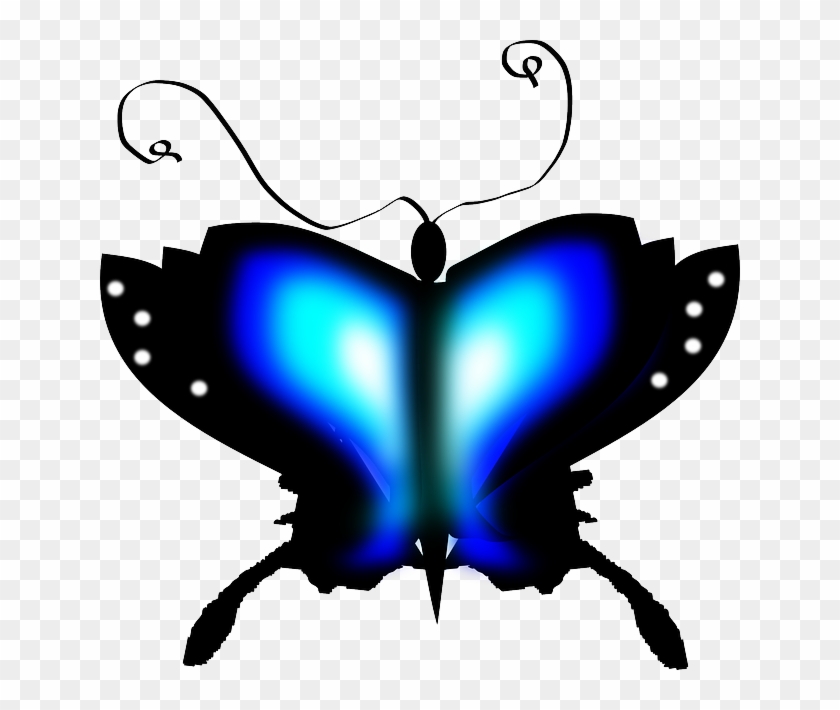 Black Butterfly, Insect, Blue, Black - Large Blue And Black Insect I Have Seen #1327714