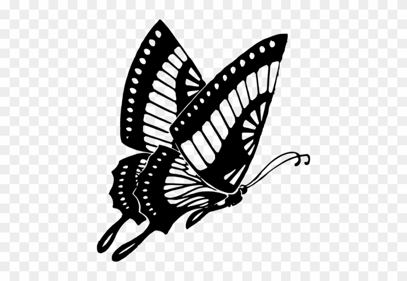 Butterfly Insect Vector Illustration - Butterfly Clipart Black And White #1327831