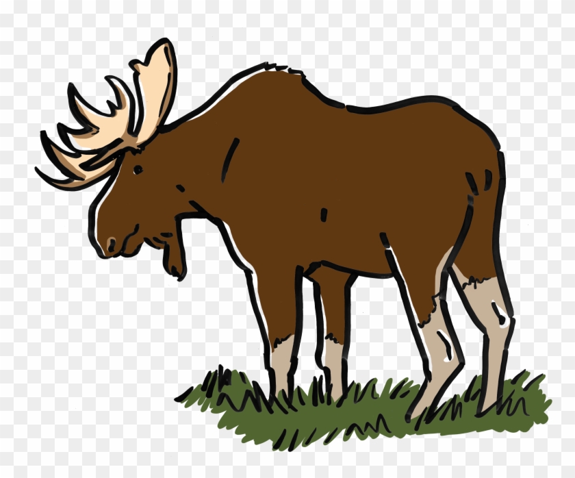 10 Moose Col - Moose #1327882
