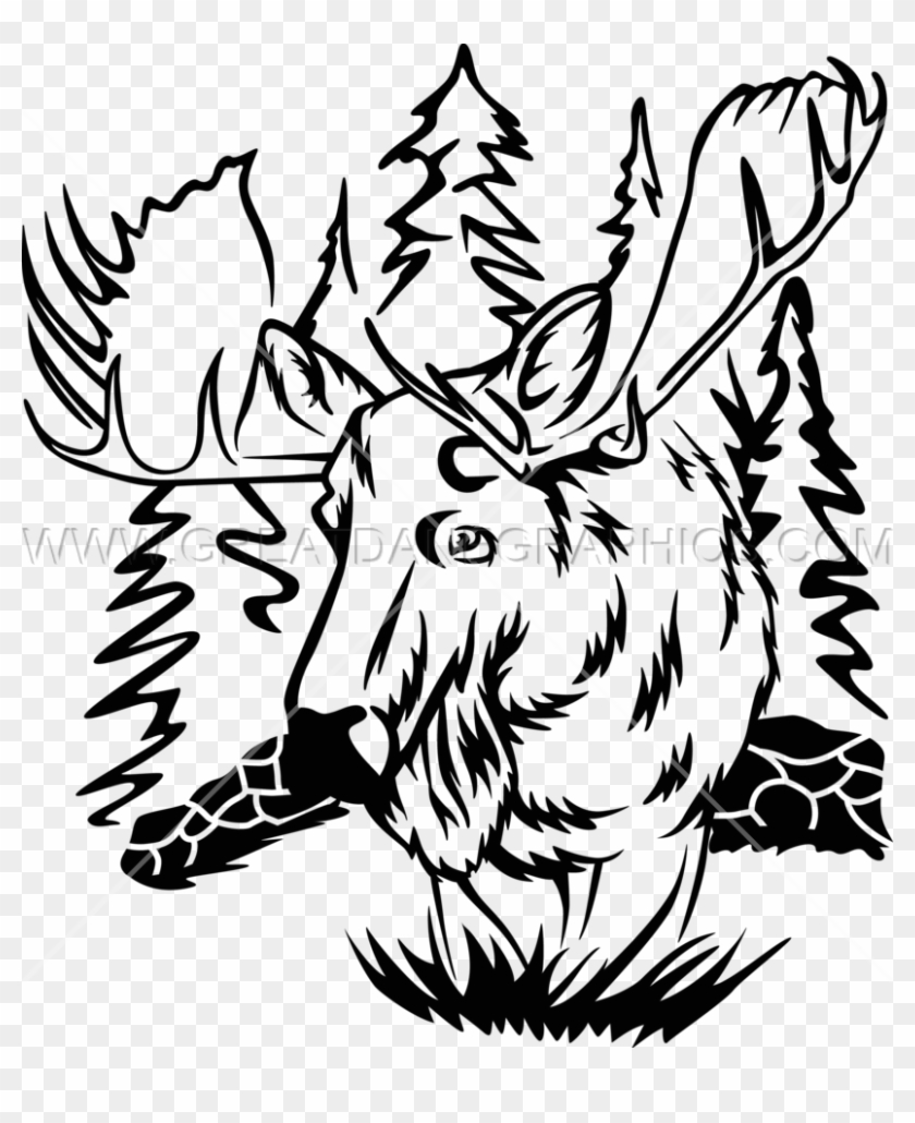 Wildlife Moose - Illustration #1327921