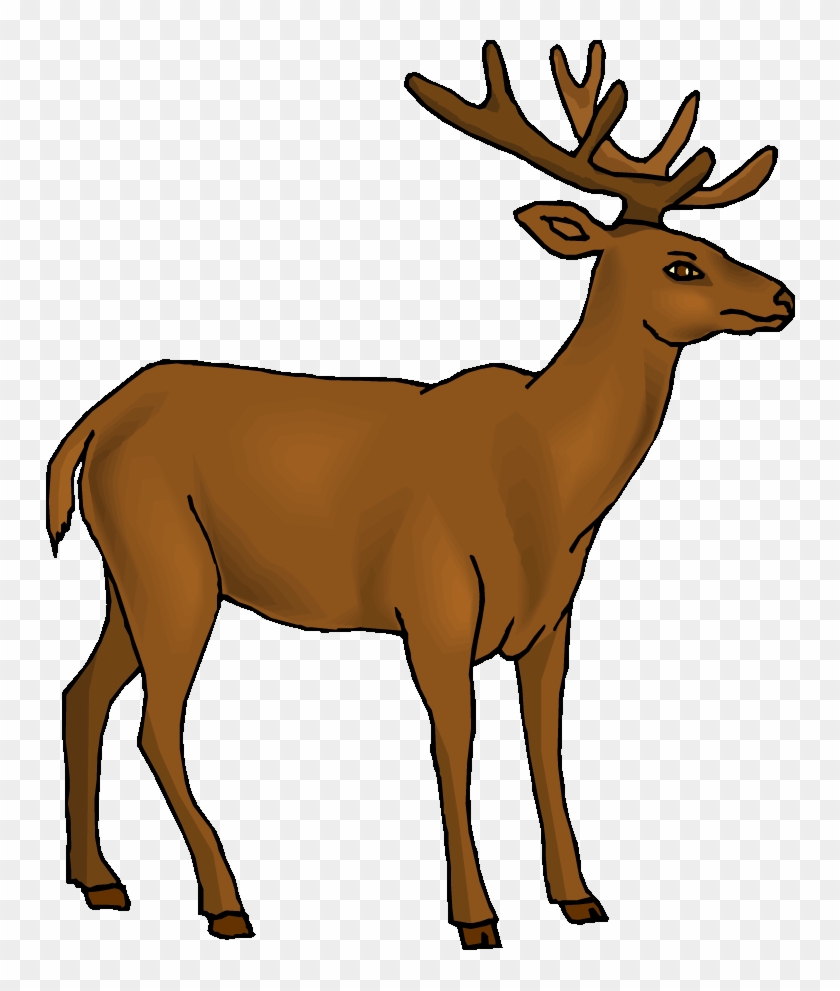 Mule Clipart Brown - Deer Clipart #1328078
