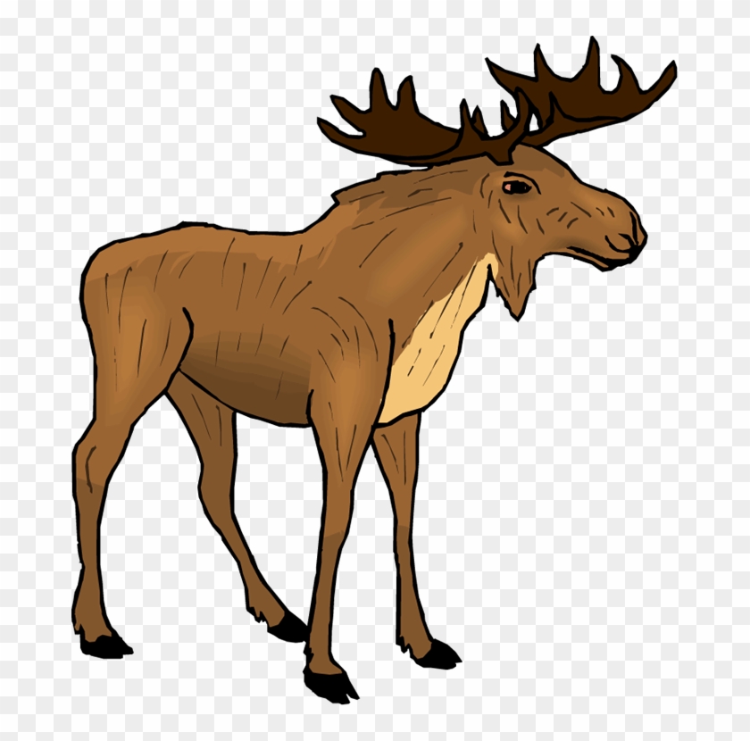 Free Moose Clipart - Domestic Animals Names List In French #1328319