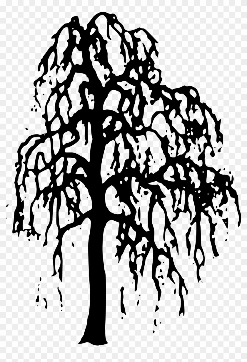 Nature Clipart Willow Tree Clipart Gallery Free Clipart - Black And White Outline Willow Tree #1328427