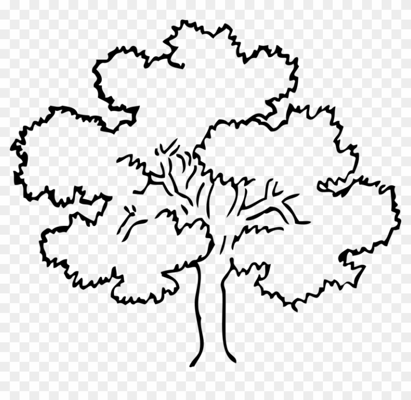 Tree Black And White Tree Clipart Black And White - Tree Drawing Black And White #1328430