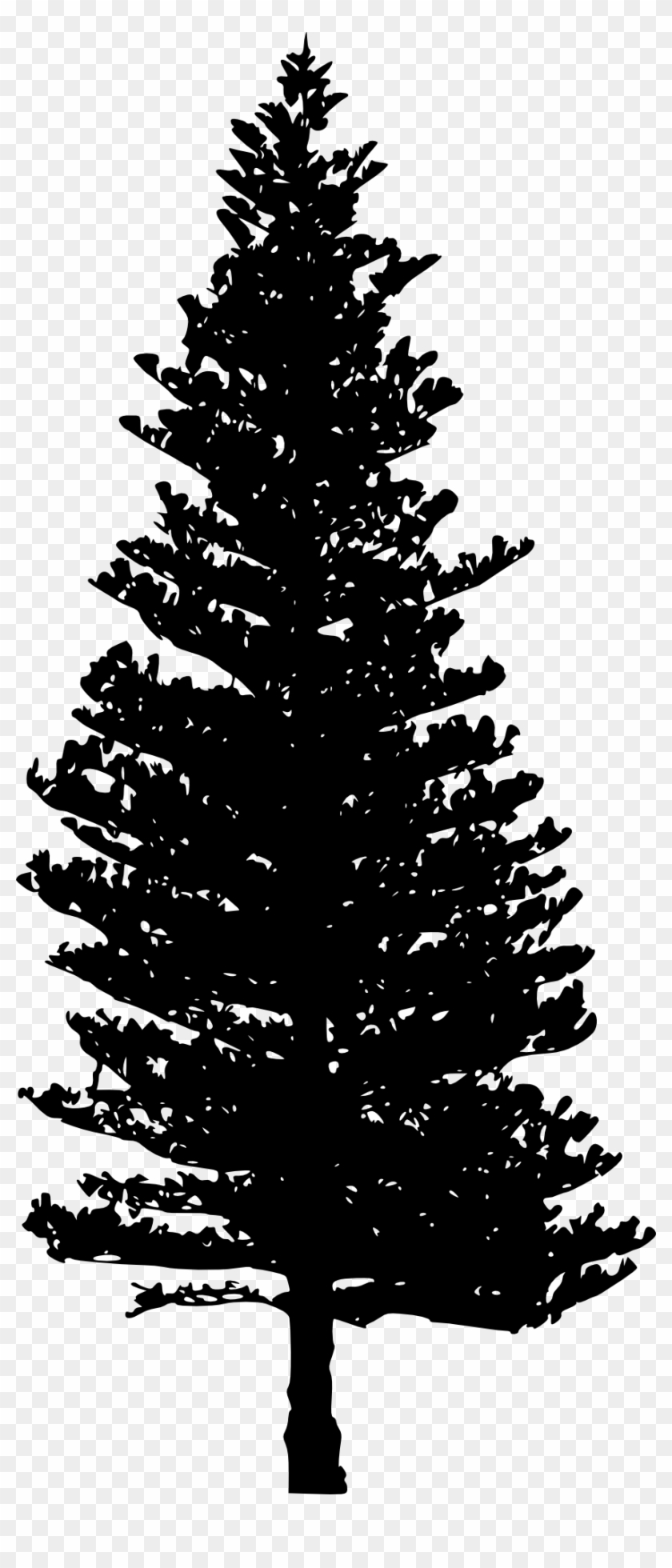 10 Pine Tree Silhouette - Tree #1328486