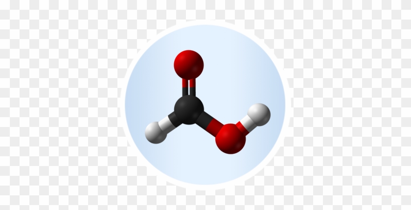 Oxalate Ions In Guava #1328583