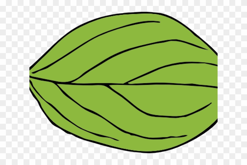 Leaf Clipart Apple Tree - Oval Leaf #1328644