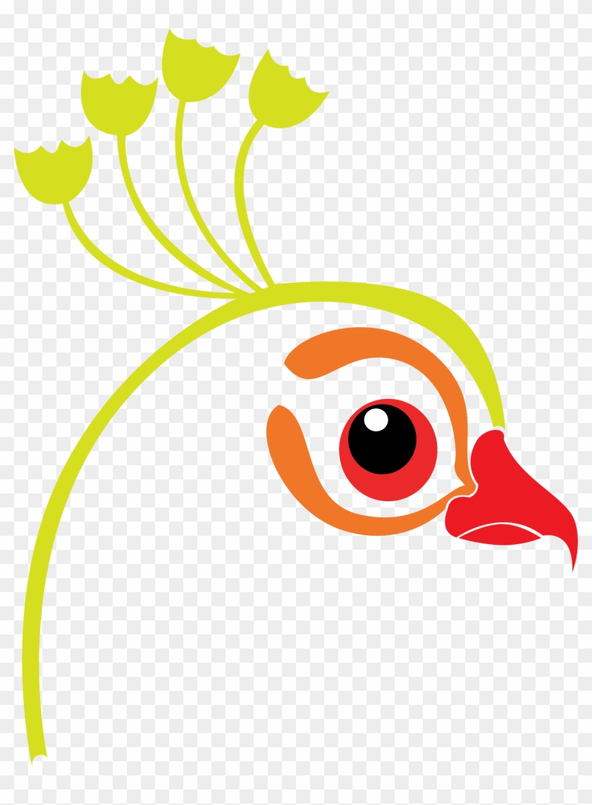 Peacock - Peacock #1328822