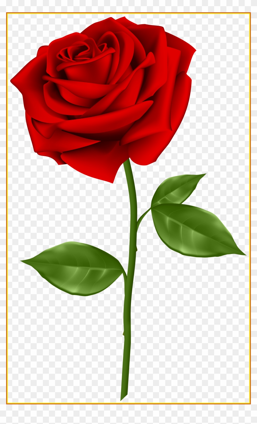 Best Red Rose Transparent Png Clip Art Gallery Yopriceville - Rose Png #1329056