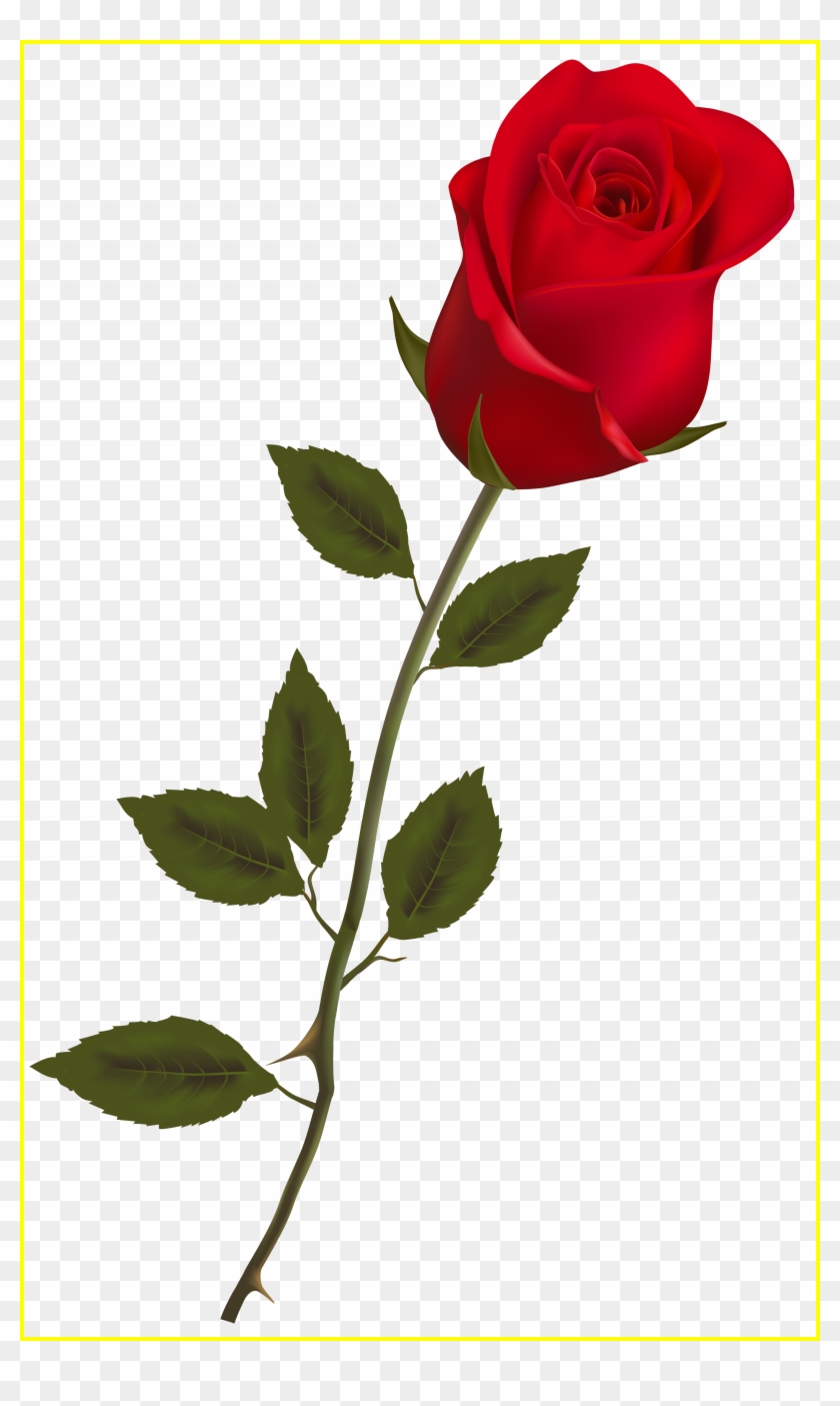 Fascinating Red Rose Png Clipart Ruze For Falling Petals - Rose Png #1329066