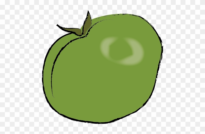 Plants Sun Scald - Plants Sun Scald #1329225