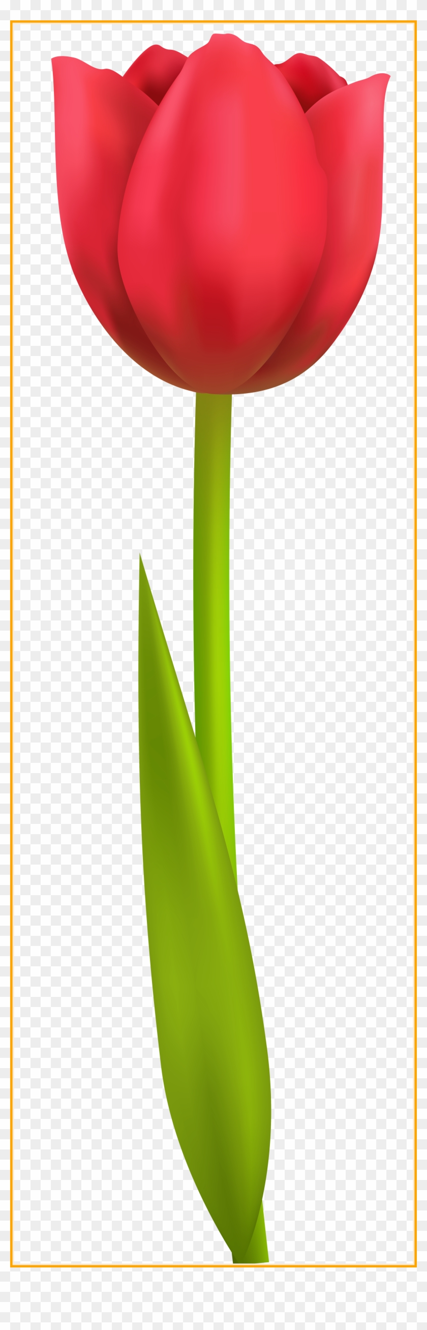 Marvelous Tulip Png Transparent Clip Art Image Tree - Clip Art #1329573