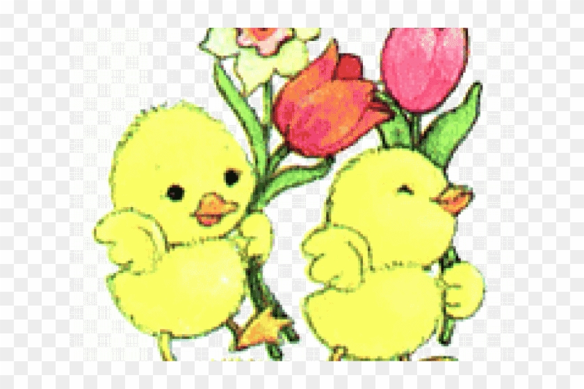 Baby Chicks Clipart - Baby Chick Clip Art #1329648