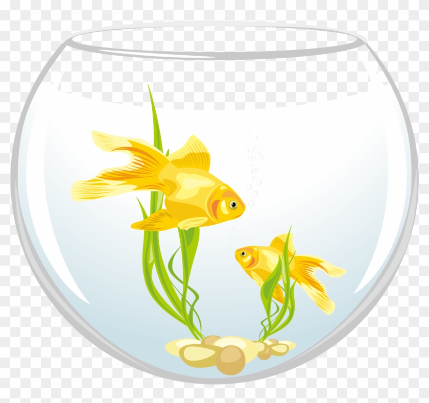 Fishtank Clipart Fish Feeder - Fish In Aquarium Bowl #1329895