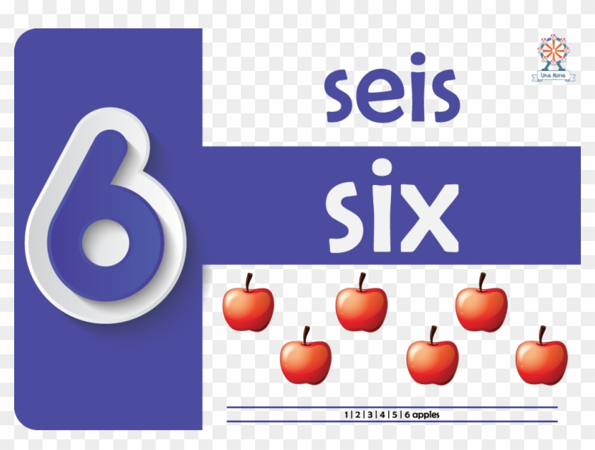Inicio / Flash Cards / Numbers - Number #1330028