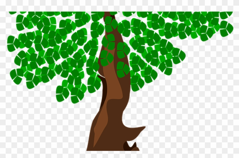 Bonsai Tree Clipart Shop Of Cliparts - Illustration #1330067