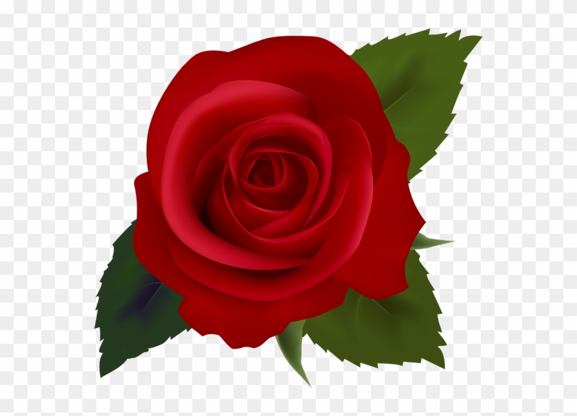 Red Roses Clip Art Images - Rose #1330082