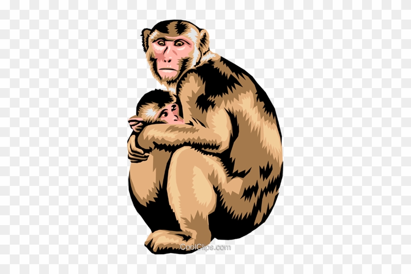 Monkey With Baby Monkey Royalty Free Vector Clip Art - Le Voci Degli Animali #1330086