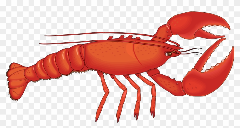 Lobster Clip Art Free Clipart Images - Lobster Clip Art Free Clipart Images #1330104