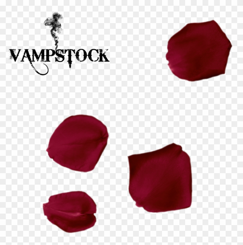 Rose Petal Png 5 Vampstock By Vampstock - Single Red Rose Petals Png #1330188