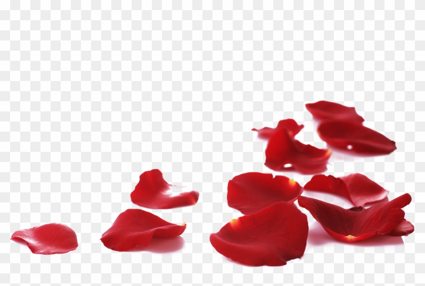 Spring House Hotel Musician Aria Tenor Opera - Spring House Hotel Musician Aria Tenor Opera #1330215