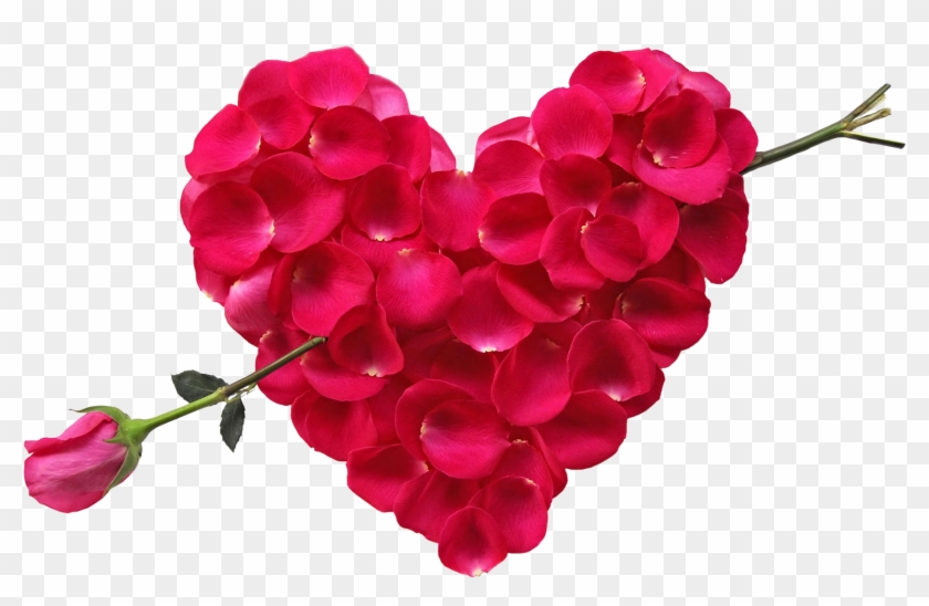Flower Bouquet Rose Heart Petal - Flower Bokeh Images Hd #1330242