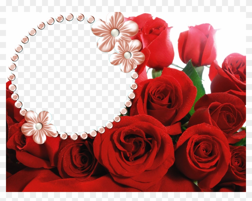 Marcos Para Fotos - Bracelet With Zirconia Stones, Beautiful Bow. For Women #1330241