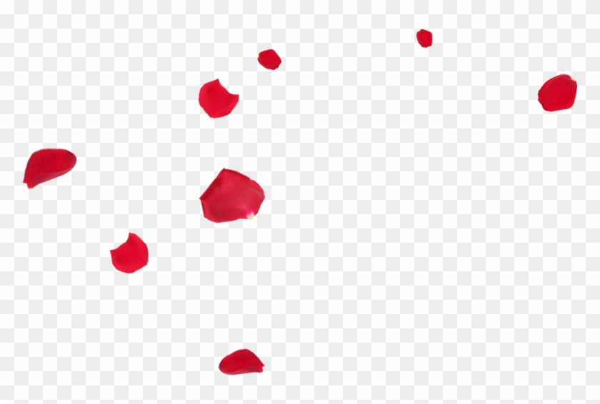 Red Petal Png #1330244