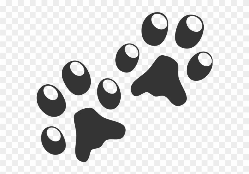 Cat Dog Paw Clip Art - Paws Cartoon Png #1330342